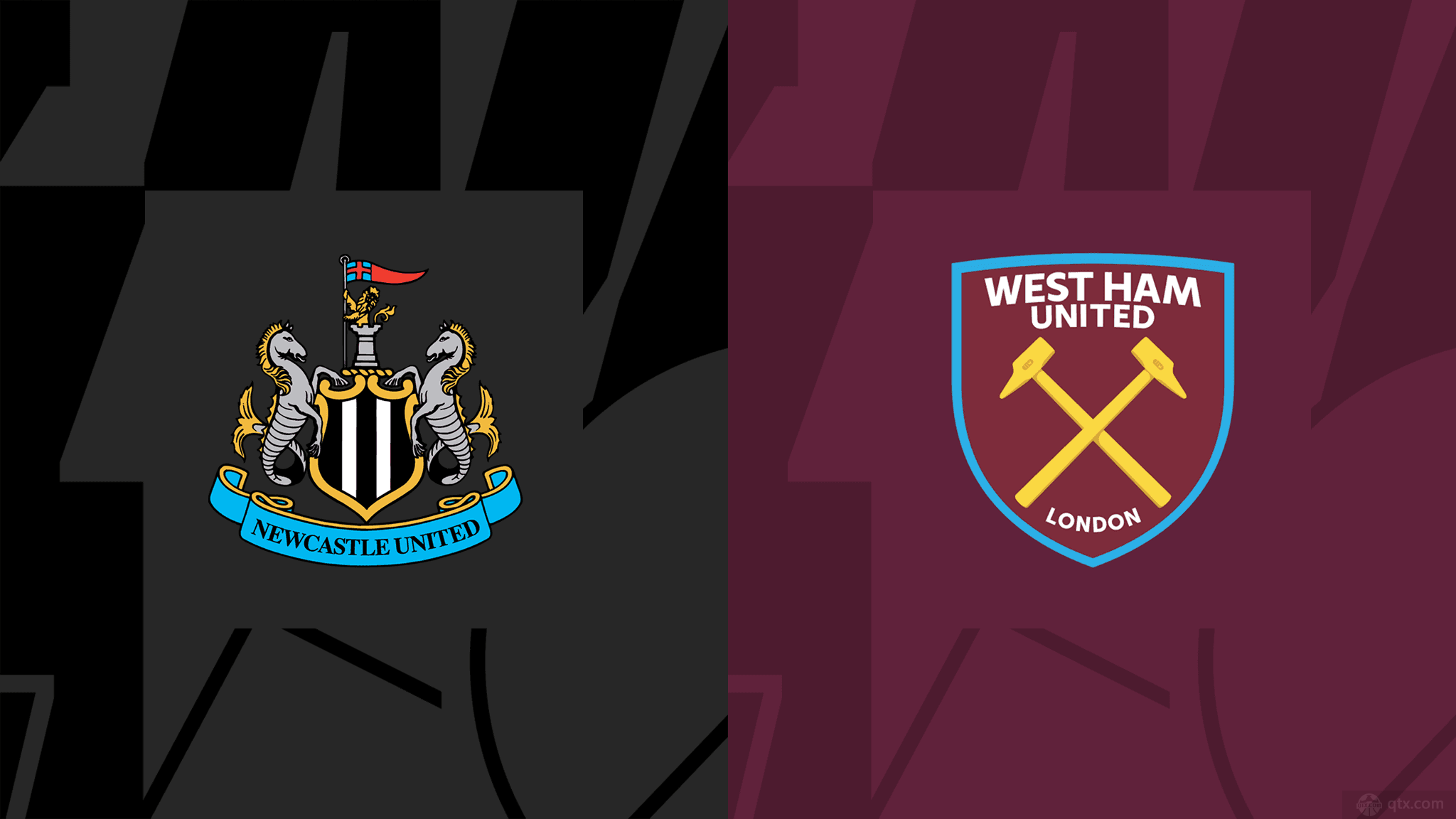 稳健的组织 稳健的组织